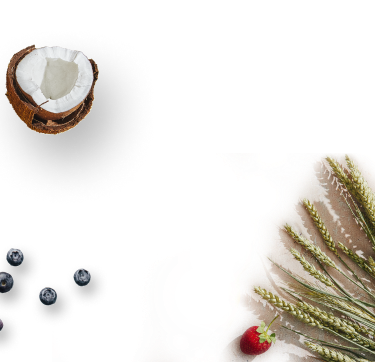 fruits